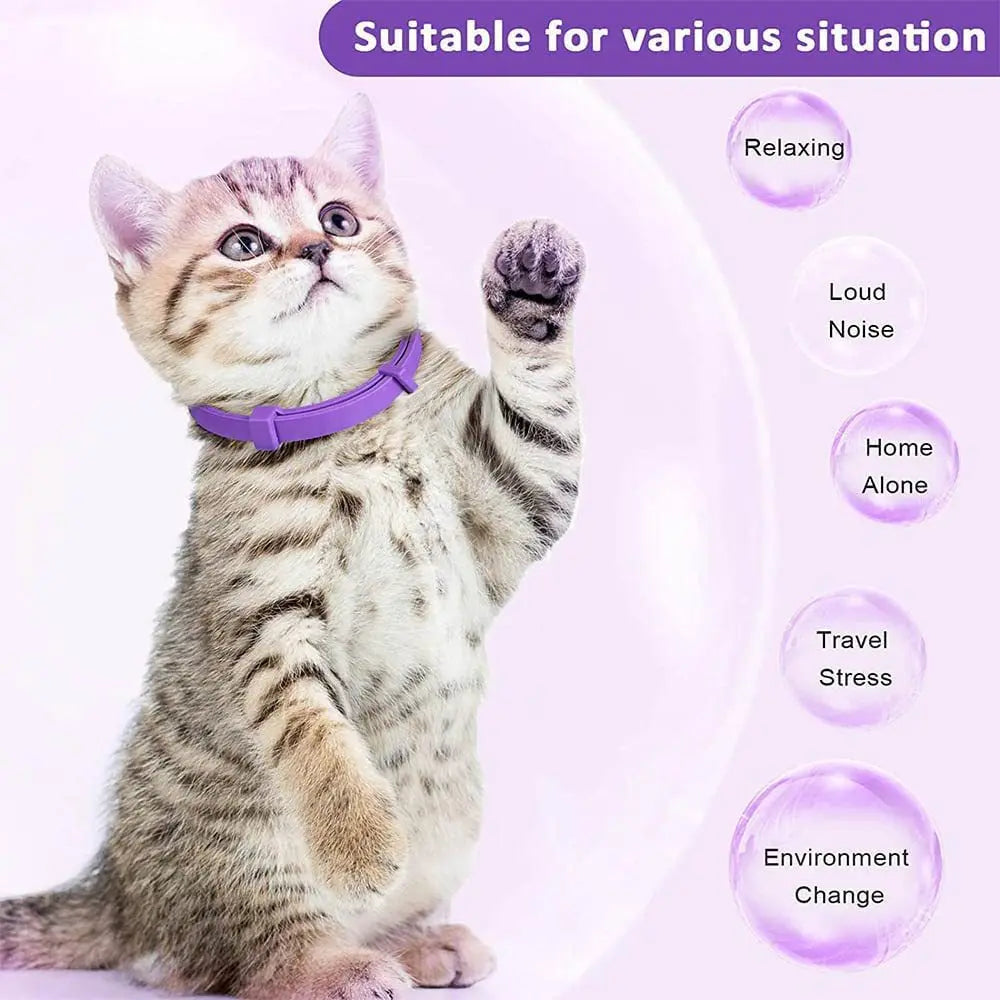 Cat Calming Collar