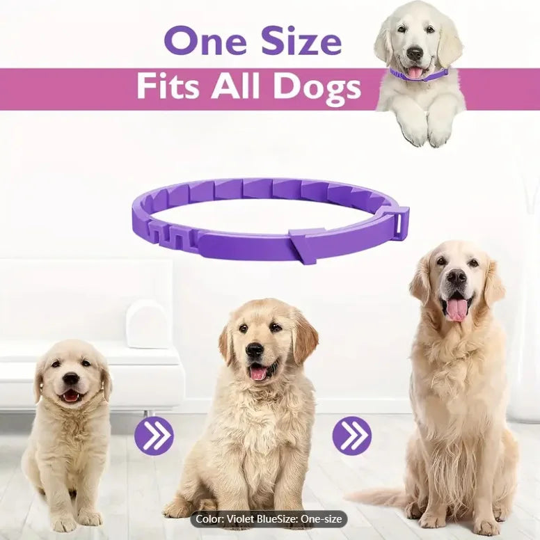 Cat Calming Collar