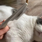 Flea Comb