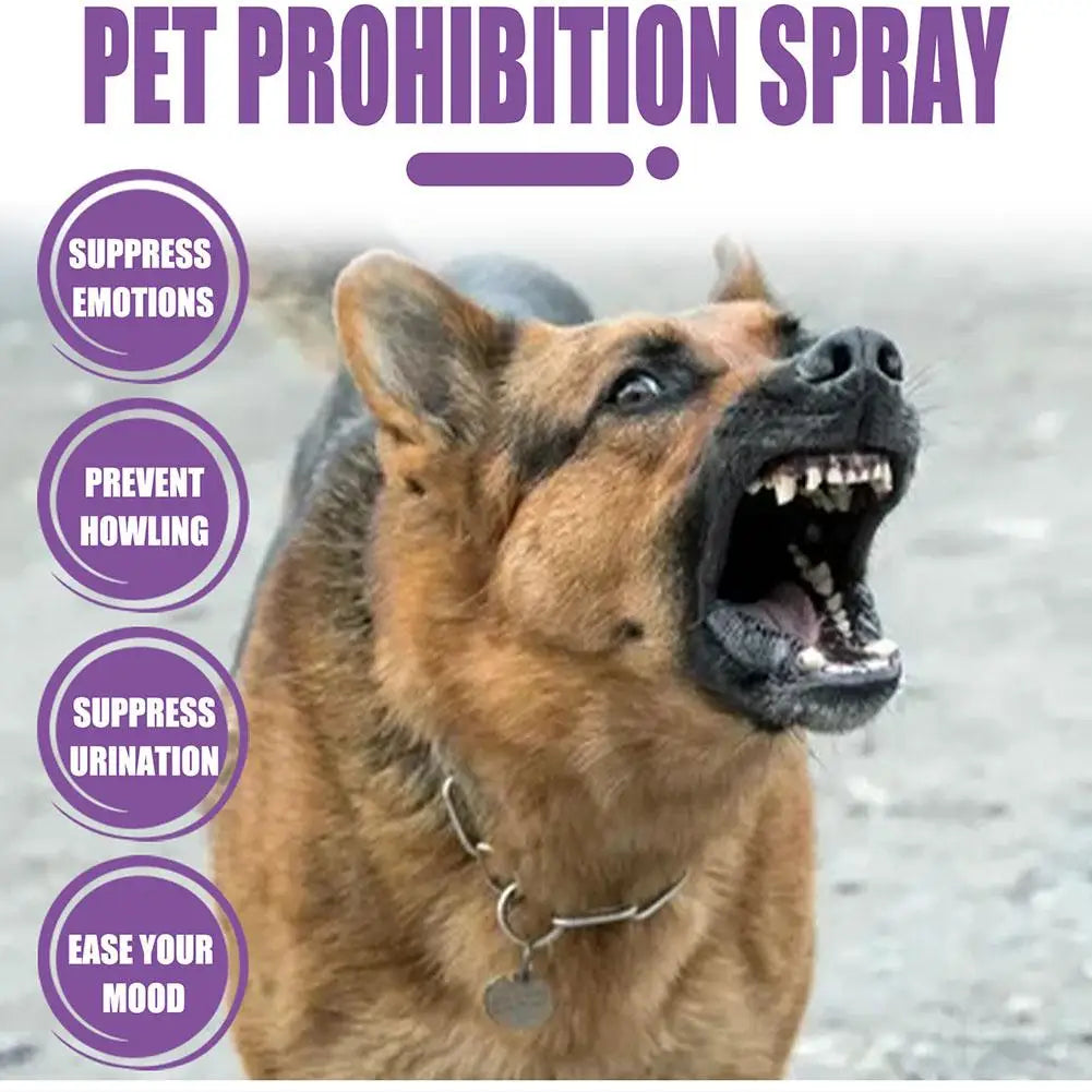 Dog Anxiety Relief Calming Spray