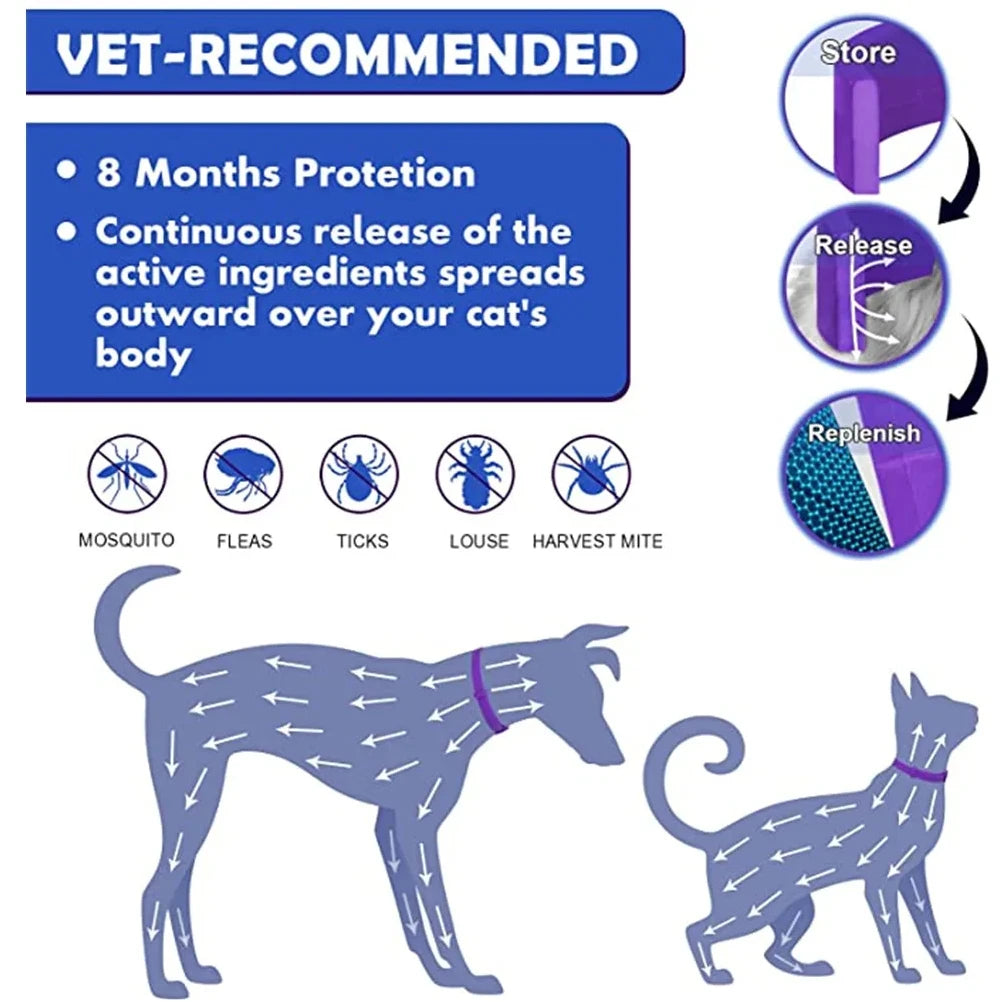 Cat Calming Collar