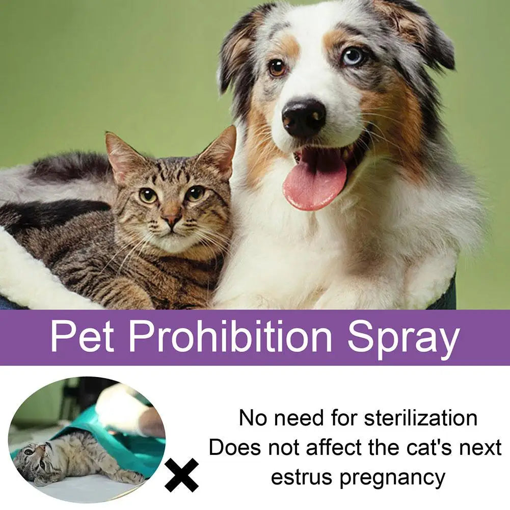 Dog Anxiety Relief Calming Spray