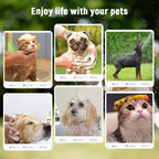 Squore Puppy Shampoo And Conditioner 2 In 1