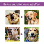 Calming Spray for Dogs 50ml
