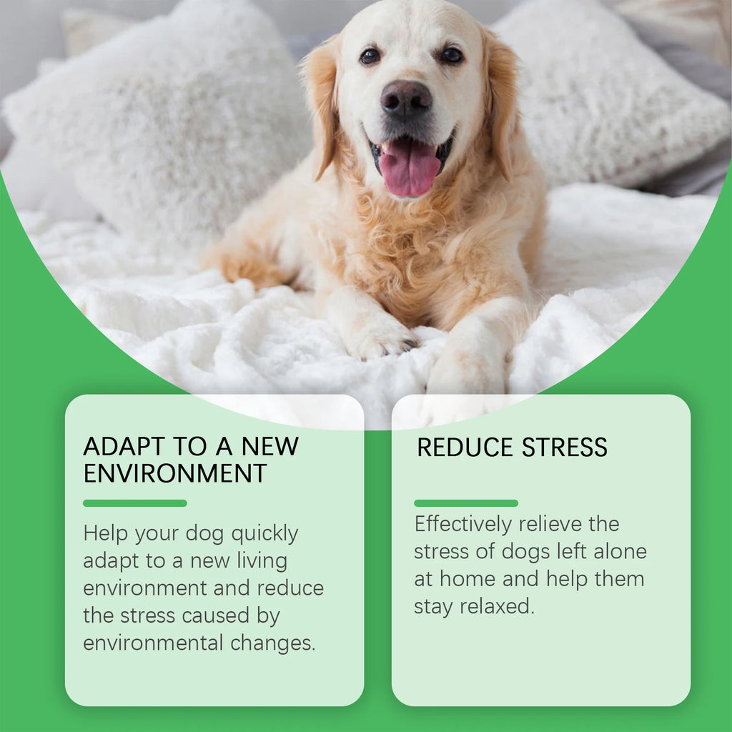 Dog Anxiety Relief Diffuser