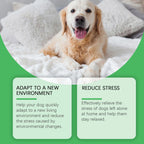 Dog Anxiety Relief Diffuser