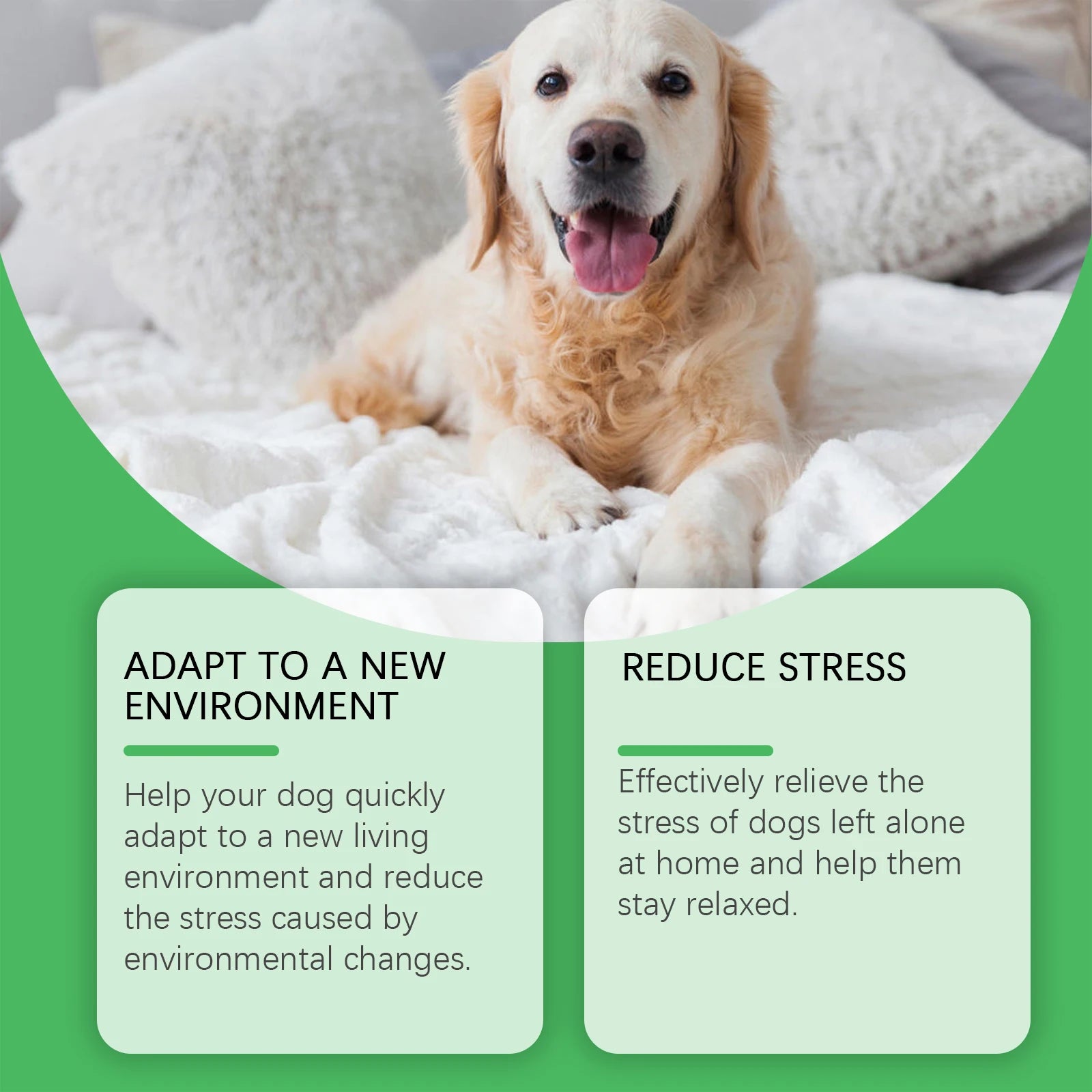 Dog Anxiety Relief Diffuser