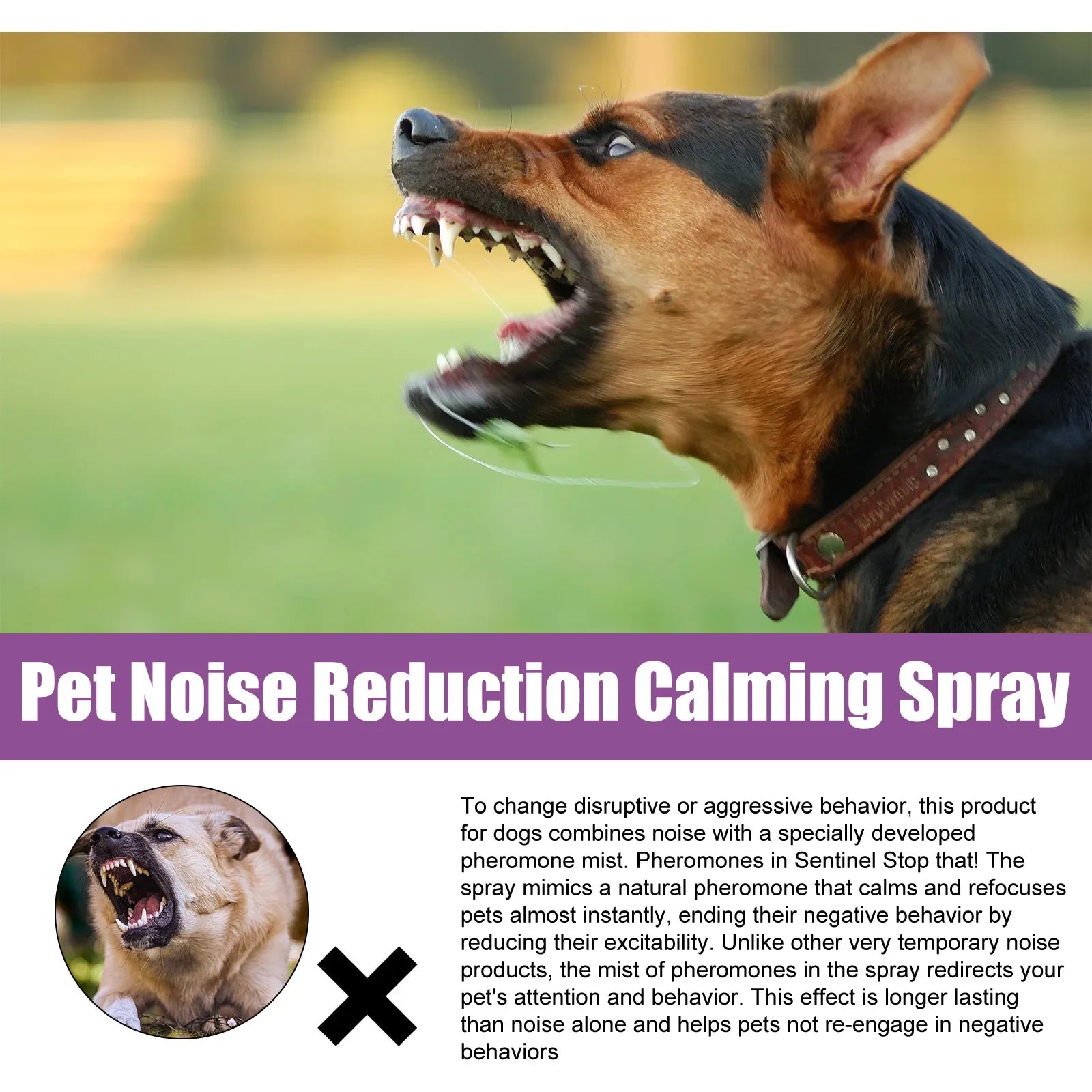 Calming Spray for Dogs 50ml