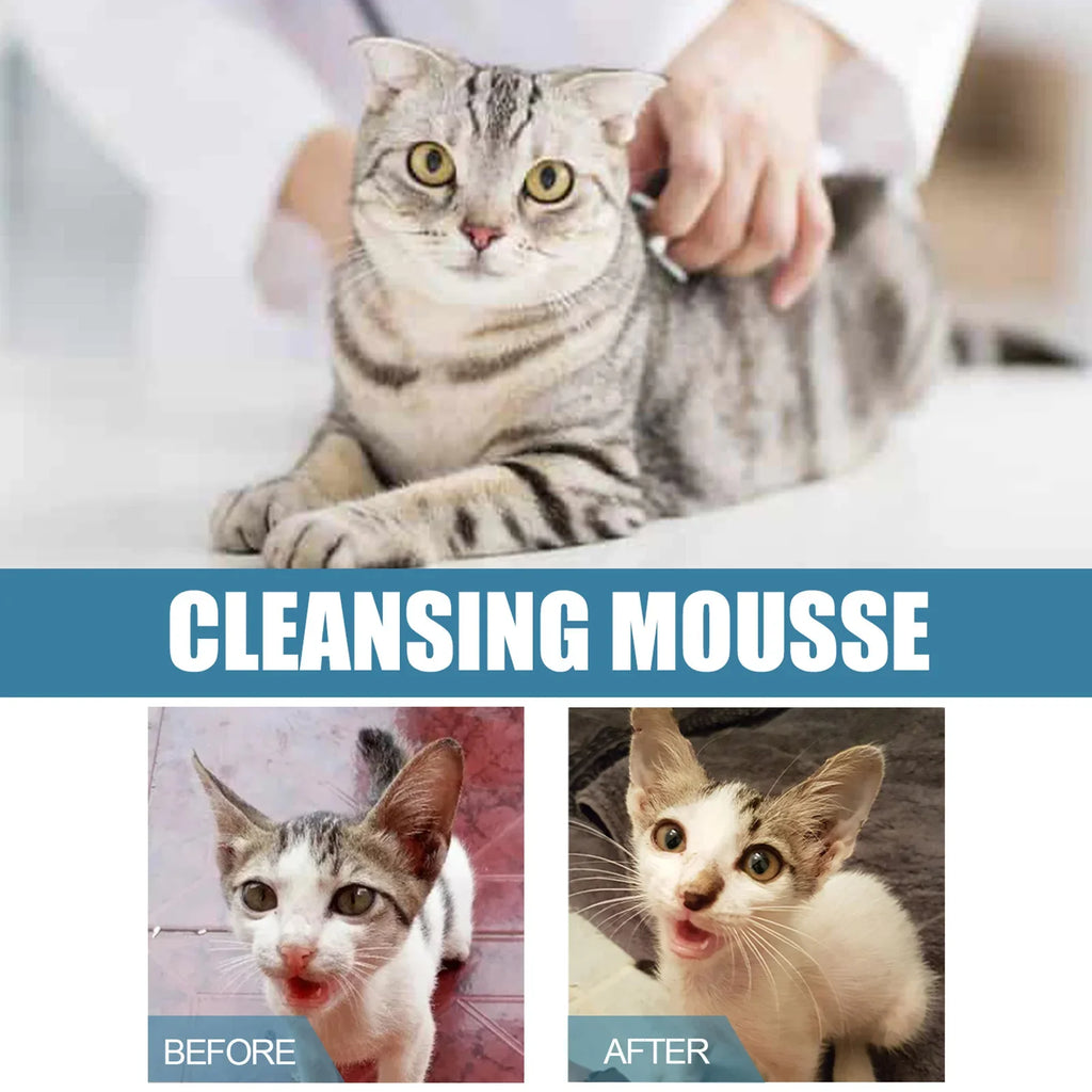 No Rinse Cleaning Mousse For Dogs and Cats