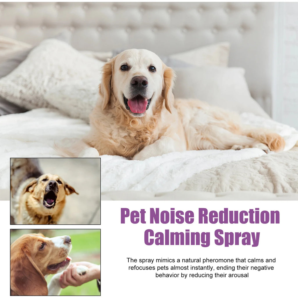 Calming Spray for Dogs 50ml