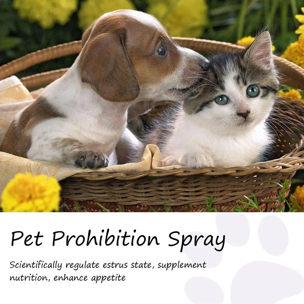 Dog Anxiety Relief Calming Spray