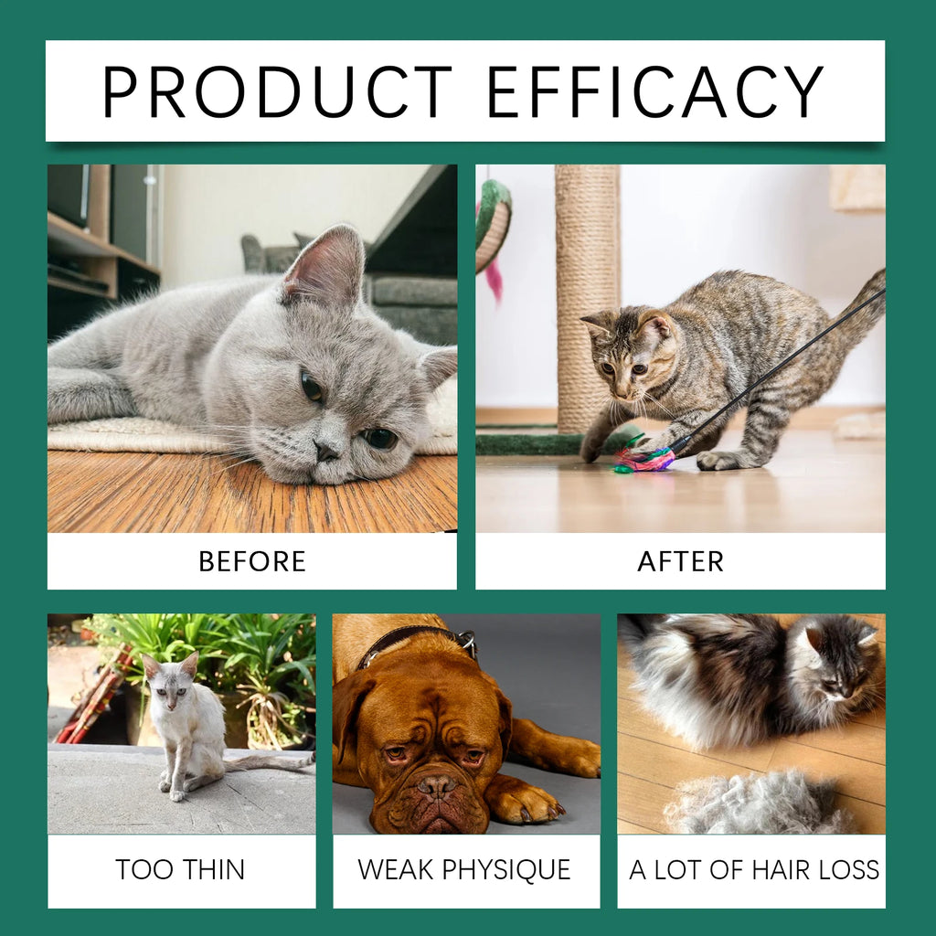 Pet Anxiety-Relief Dietary Supplement
