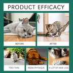 Pet Anxiety-Relief Dietary Supplement