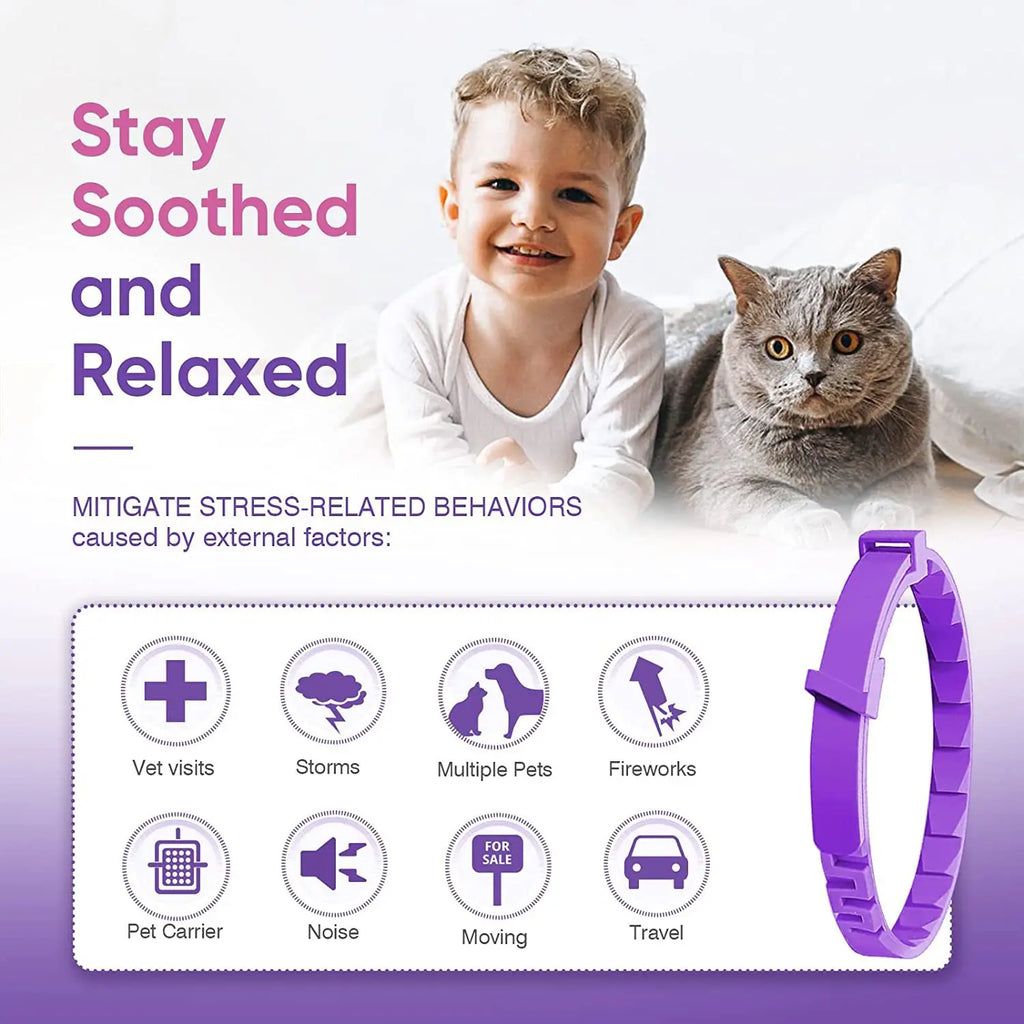 Cat Calming Collar