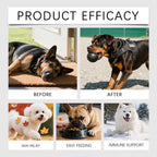 Dog Anxiety Relief Calming Herbal Drops