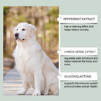 Pet Anxiety-Relief Dietary Supplement