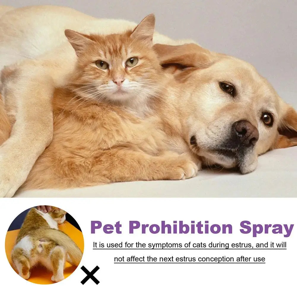 Dog Anxiety Relief Calming Spray
