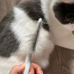 Flea Comb