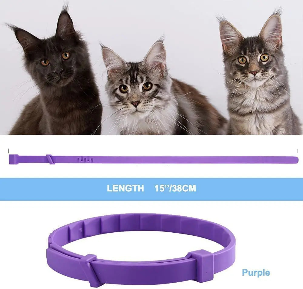 Cat Calming Collar