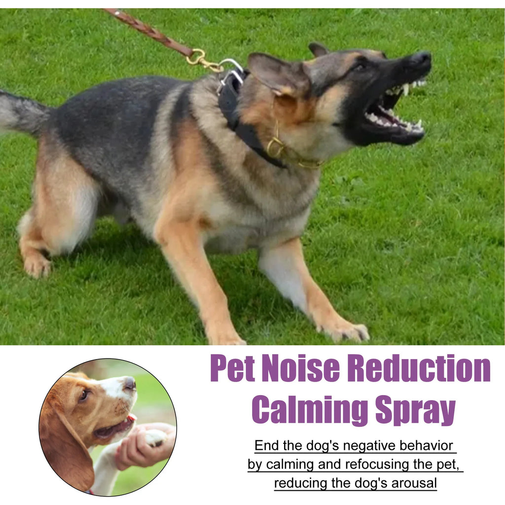 Calming Spray for Dogs 50ml