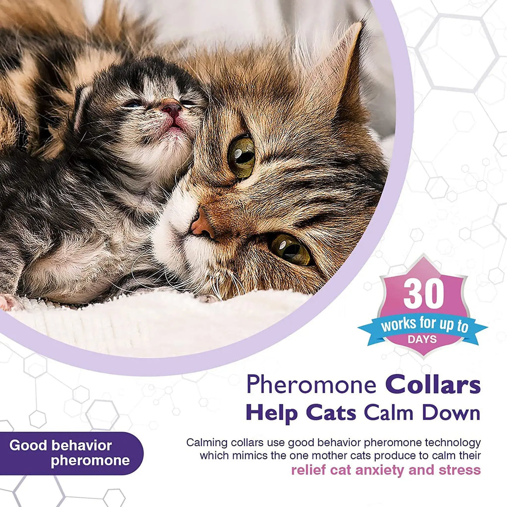 Cat Calming Collar