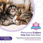 Cat Calming Collar