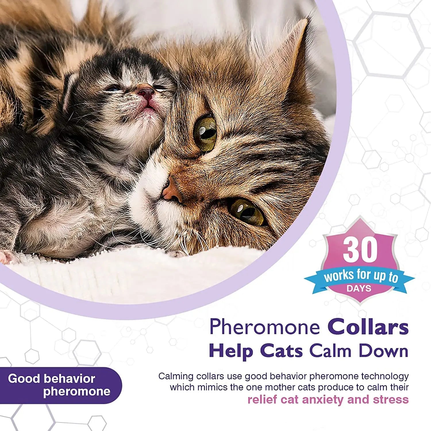 Cat Calming Collar