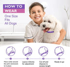 Cat Calming Collar