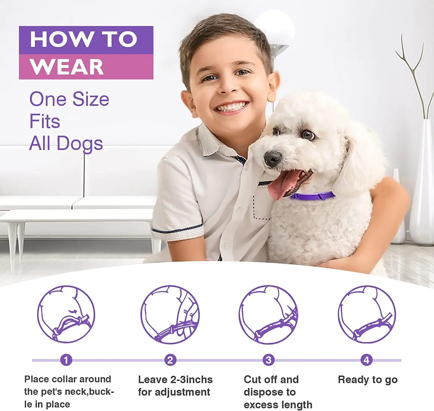 Cat Calming Collar