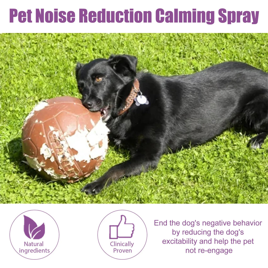 Calming Spray for Dogs 50ml