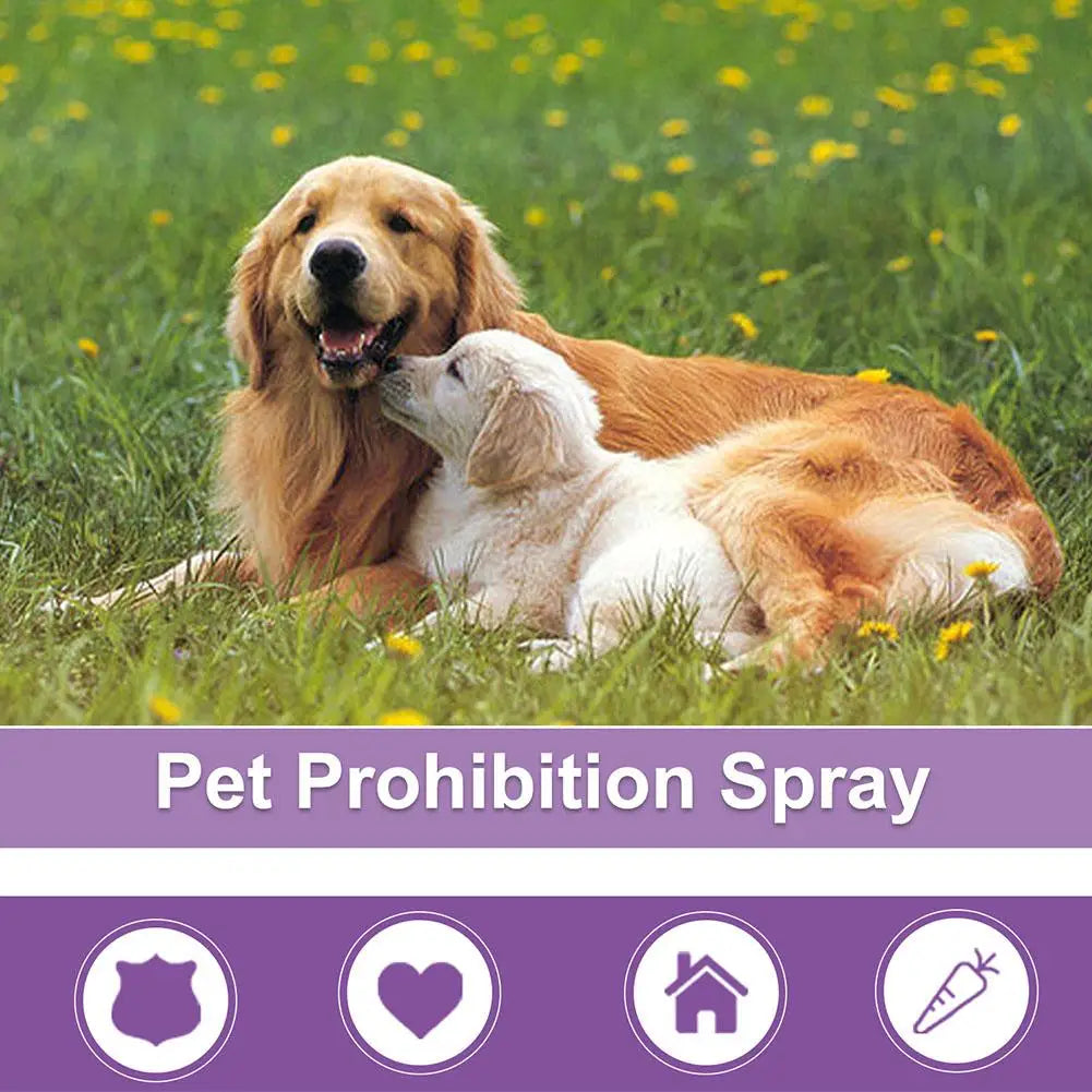 Dog Anxiety Relief Calming Spray