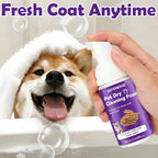 Pet Dry Shampoo for Dogs & Cats 60ml