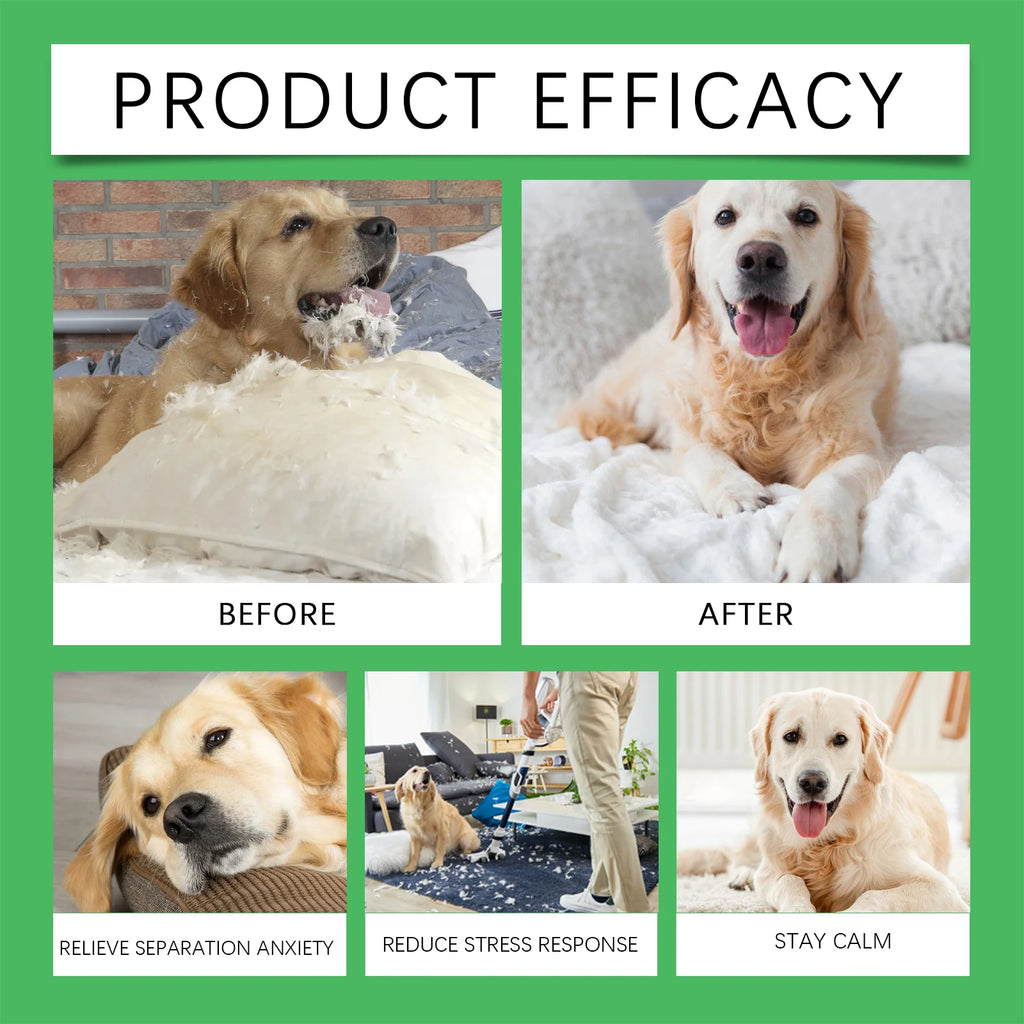 Dog Anxiety Relief Diffuser