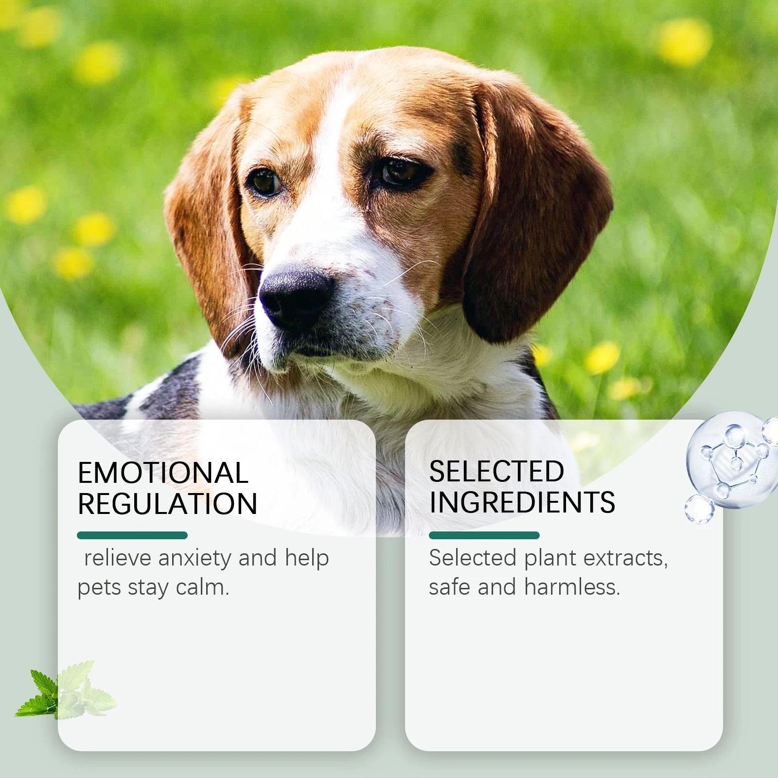 Pet Anxiety-Relief Dietary Supplement