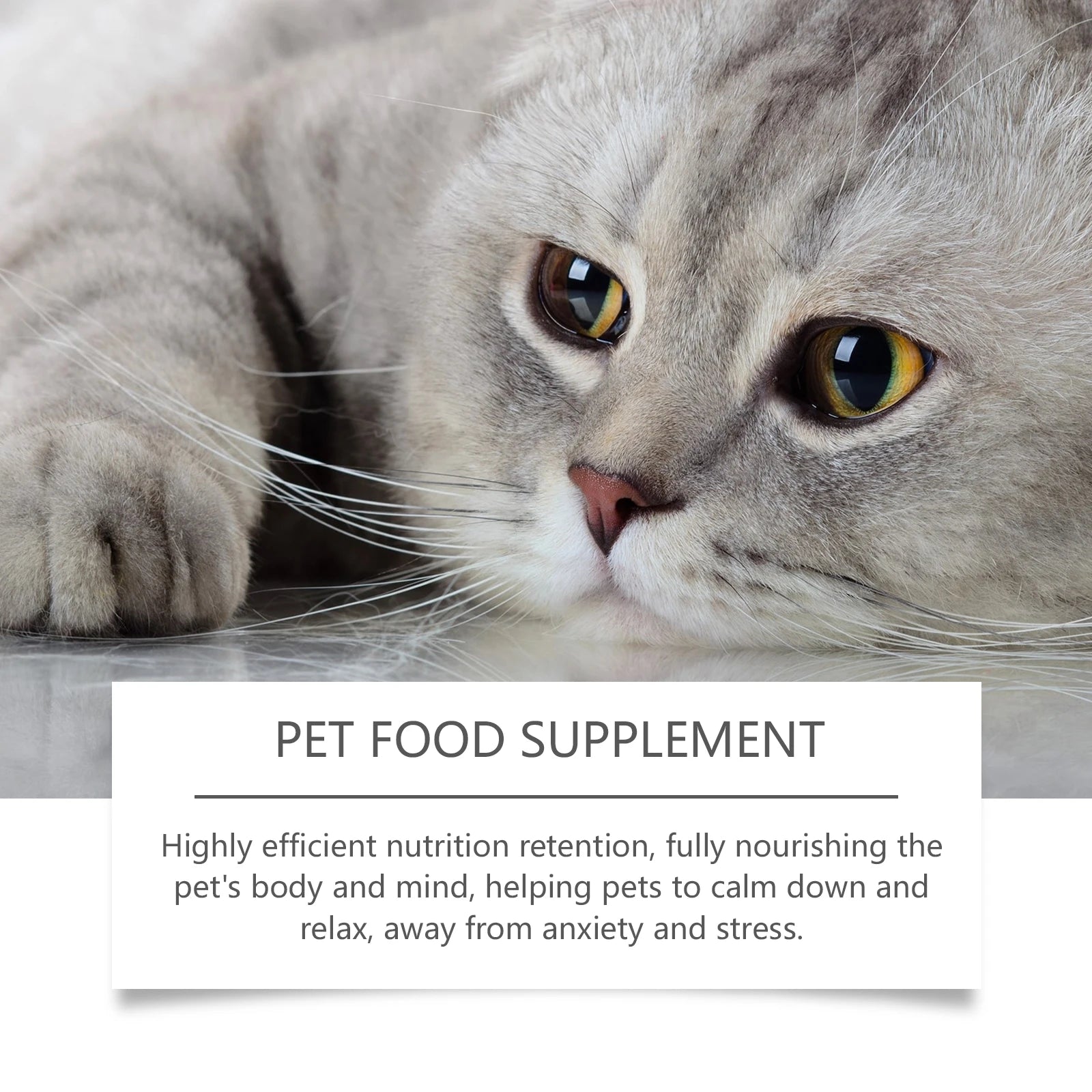 Pet Anxiety-Relief Dietary Supplement